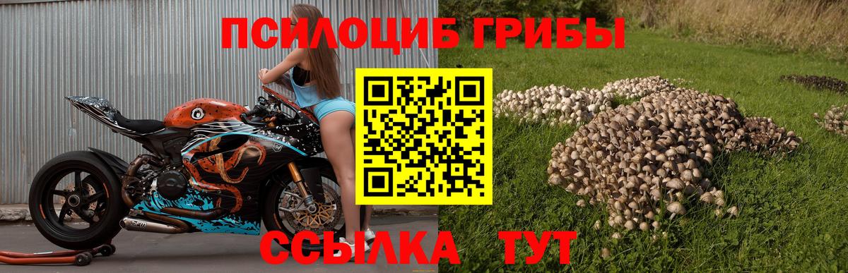 Псилоцибиновые грибы прущие грибы  Вход с VPN  Соликамск  Псилоцибиновые грибы Cubensis 
